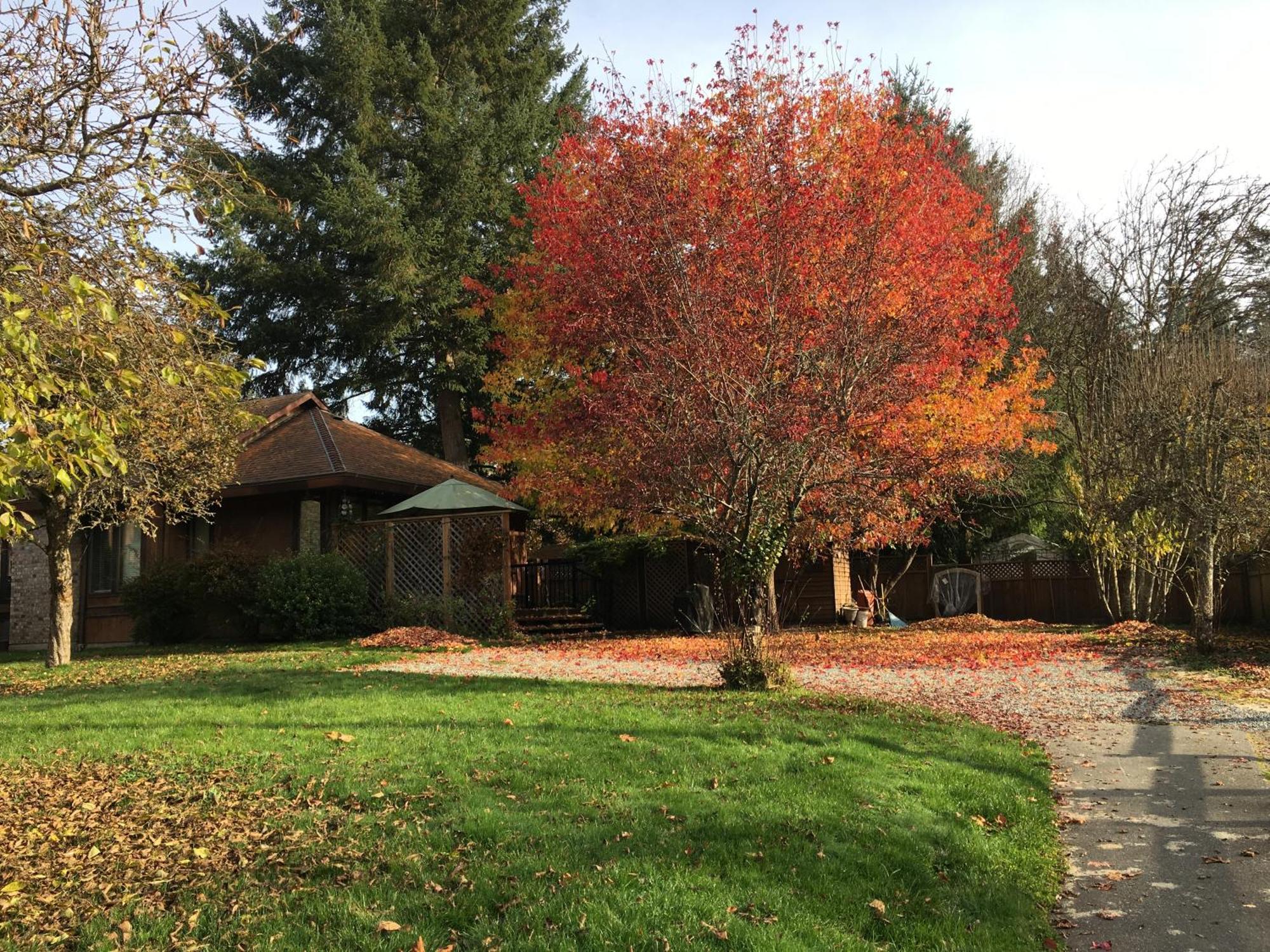 Coles Bay Vacation Retreat Villa North Saanich Buitenkant foto