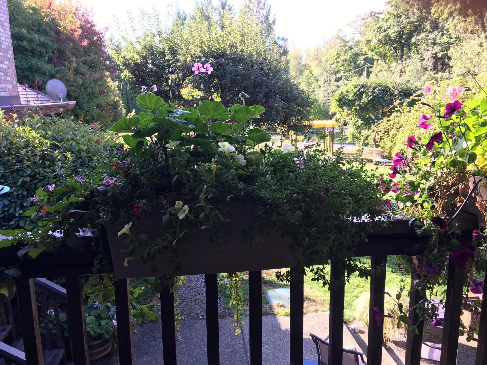 Coles Bay Vacation Retreat Villa North Saanich Buitenkant foto