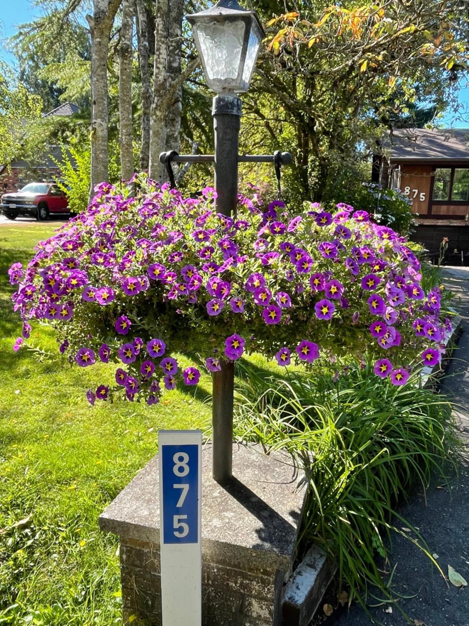 Coles Bay Vacation Retreat Villa North Saanich Buitenkant foto